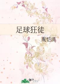 足球狂徒