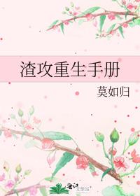 渣攻重生手册