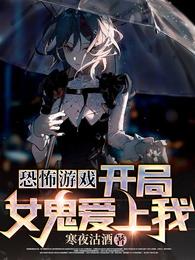 齐风小说